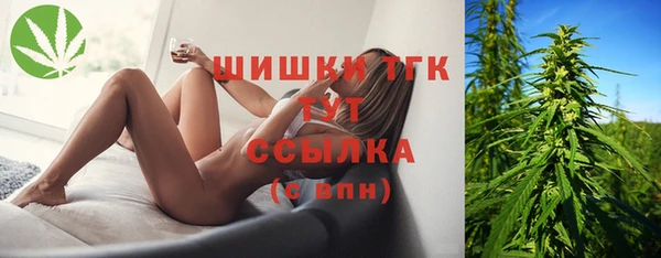 ECSTASY Медногорск