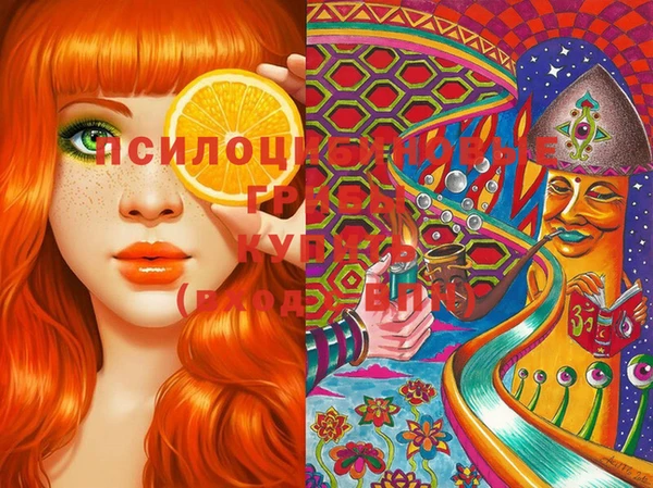 стафф Мегион