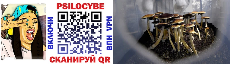 Купить закладки  Воронеж  Псилоцибиновые грибы мухоморы 